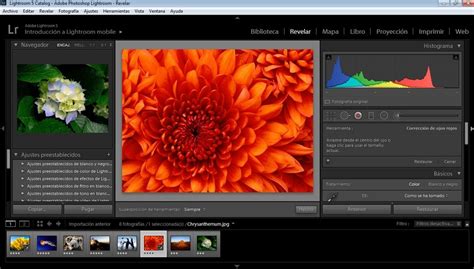 Adobe Lightroom 2025 Free Full Download
